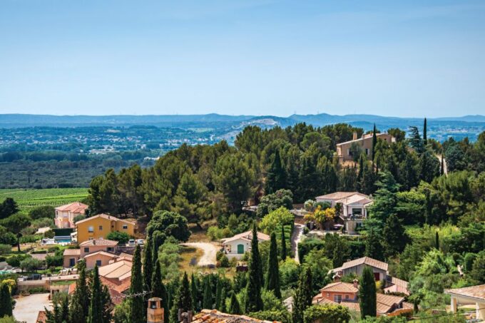 From Avignon: Half-Day Great Vineyards Tour - Photo Opportunities at Vineries