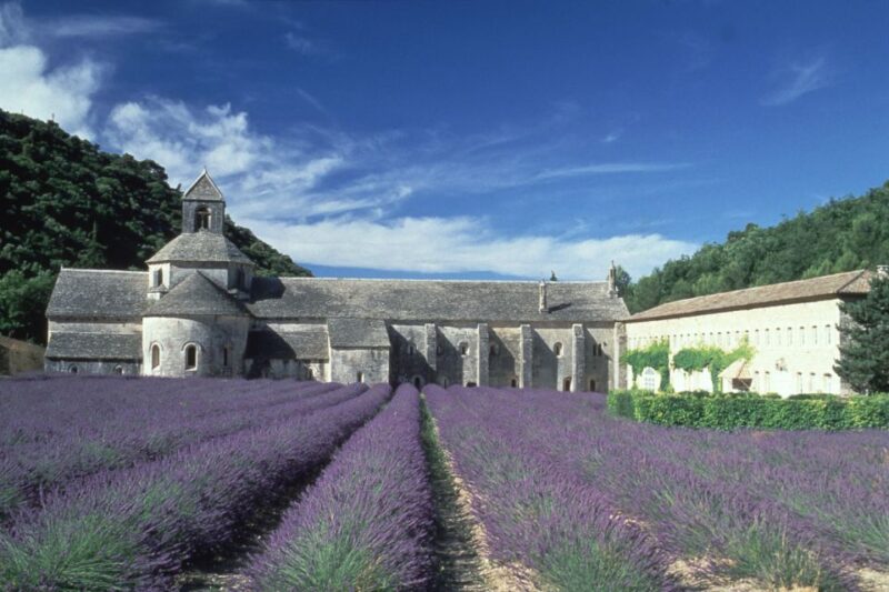 From Avignon: Half-Day Hilltop Villages of Luberon - Tour Pricing and Cancellation