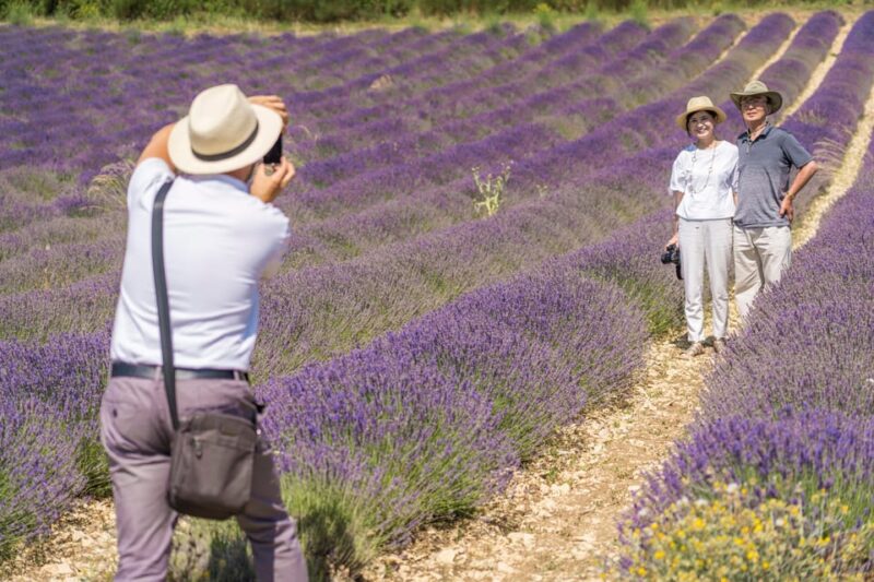 From Avignon: Half Day Lavender Tour to Sault - Important Information