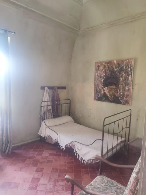 From Avignon: In the Footsteps of Van Gogh in Provence - Highlights of the Tour Experience