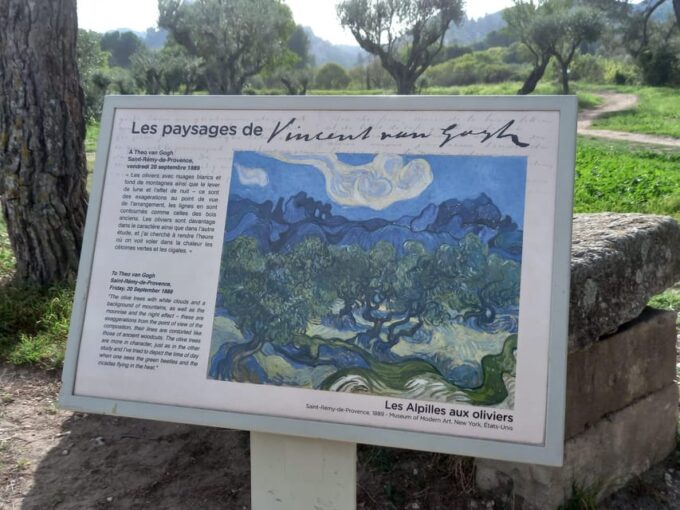 From Avignon: In the Footsteps of Van Gogh in Provence - Important Information and Booking Details