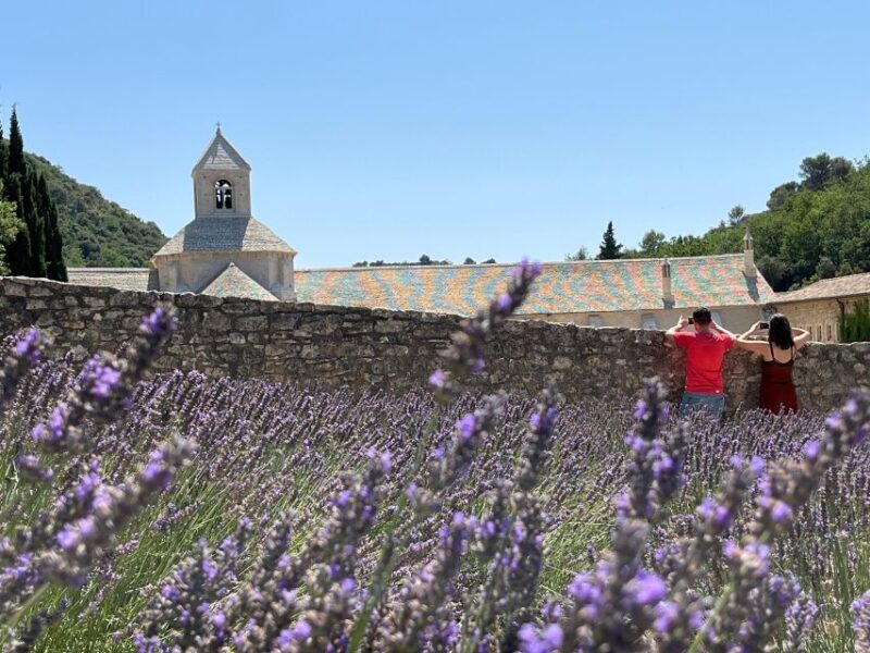 From Avignon: Lavender Tour Around Valensole or Sault - Valensole Tour