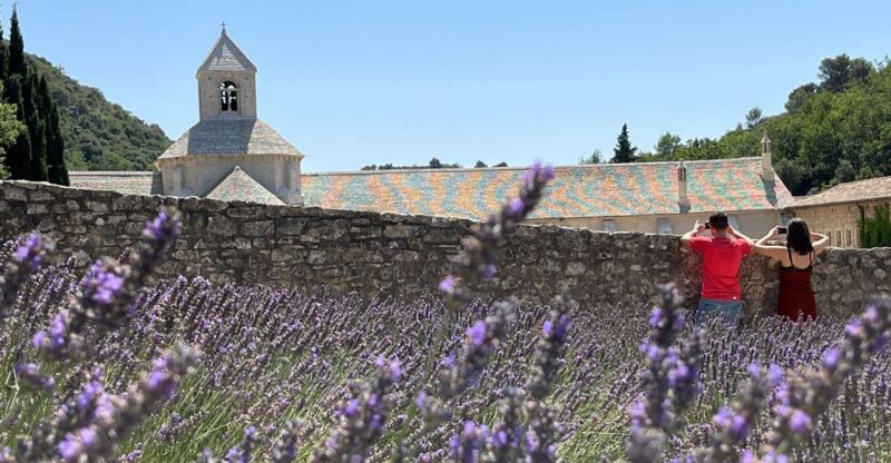 From Avignon: Lavender Tour Around Valensole or Sault - Important Information