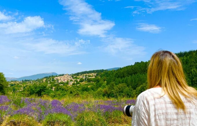 From Avignon: Lavender Tour Around Valensole or Sault - Exploring the Lavender Fields