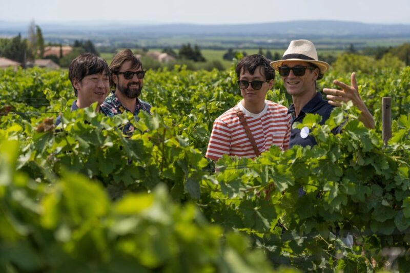From Avignon: Luberon and Chateauneuf-du-Pape Full-Day Tour - Wine Experience