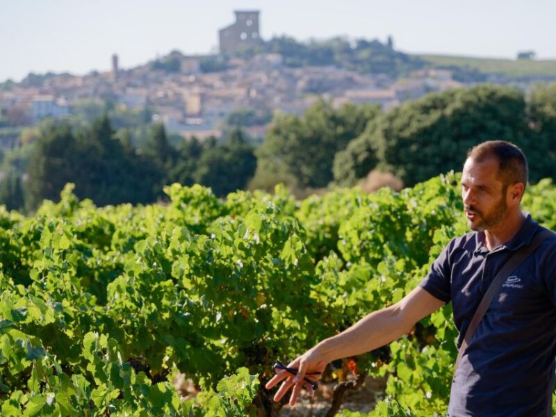 From Avignon: Luberon and Chateauneuf-du-Pape - Key Points