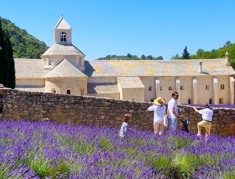 From Avignon: Luberon Villages Guided Trip With Wine Tasting - Picnic With Local Products