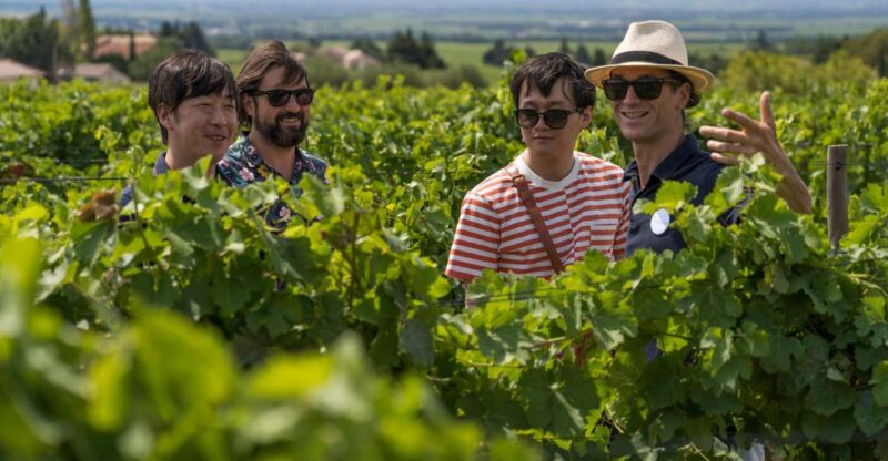 From Avignon: Morning Wine Tour to Châteauneuf Du Pape - Discover the Terroir and Vineyards