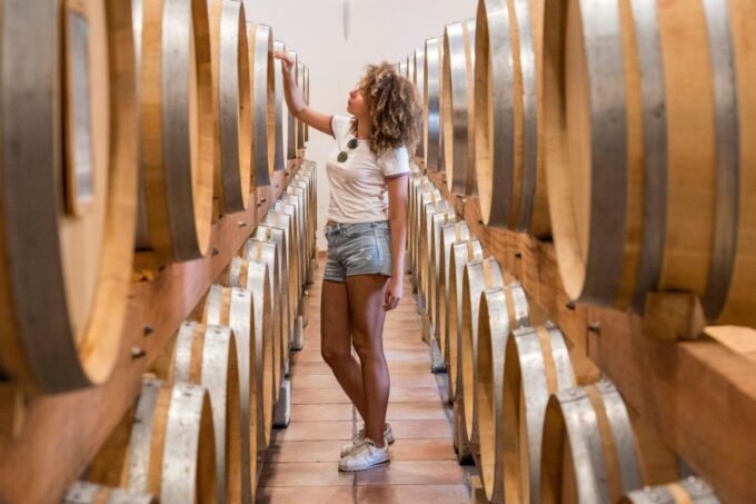 From Avignon: Morning Wine Tour to Châteauneuf Du Pape - Accessibility and Pet Policy Considerations