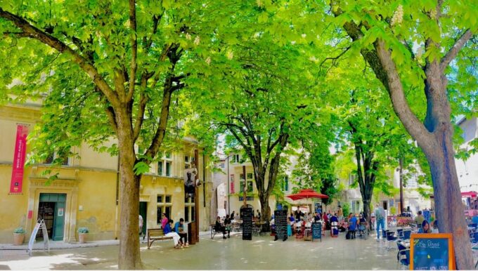 From Avignon: Provence Highlights Full-Day Tour - Exploring the Charming Villages of Provence