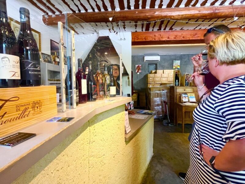 From Avignon: Wine Tour in 3 Places Inc. Châteauneuf Du Pape - Customer Feedback and Restrictions