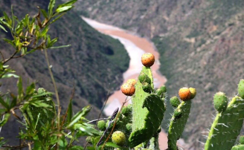 From Ayacucho: Huatuscalla Huanta - Full Day - Inclusions