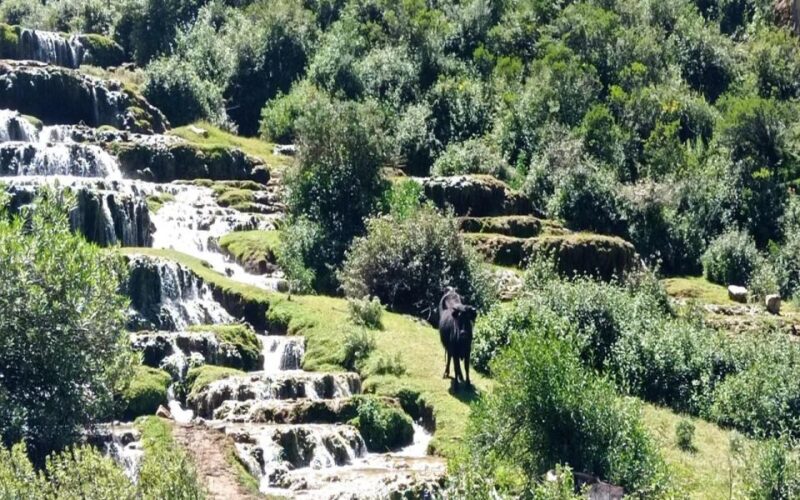 From Ayacucho: Waterfall De Sarhua - Full Day - Frequently Asked Questions