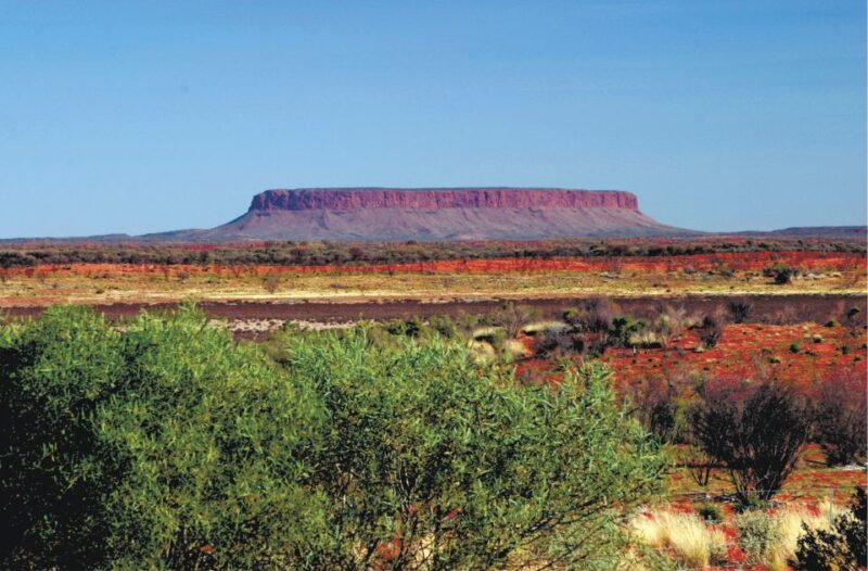 From Ayers Rock Resort: Alice Springs One-Way Coach Transfer - Included and Excluded Services