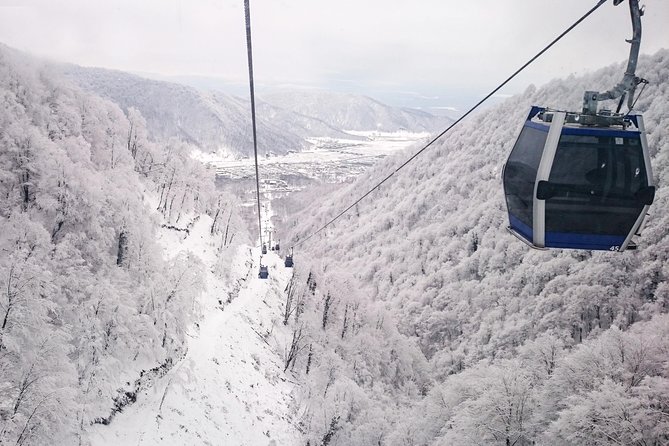 From Baku: Gabala Day Trip - Key Points