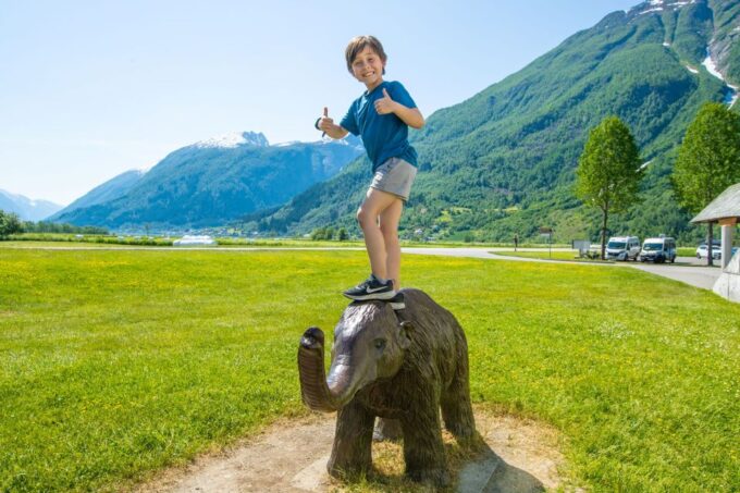 From Balestrand: Guided Fjord & Glacier Tour to Fjærland - Recap