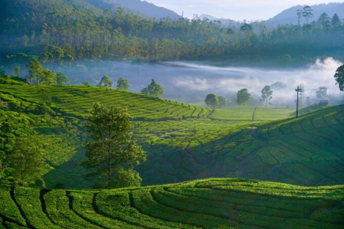 From Bali: 10-DAY Tour of Javas Highlights With Lodging - Frequently Asked Questions
