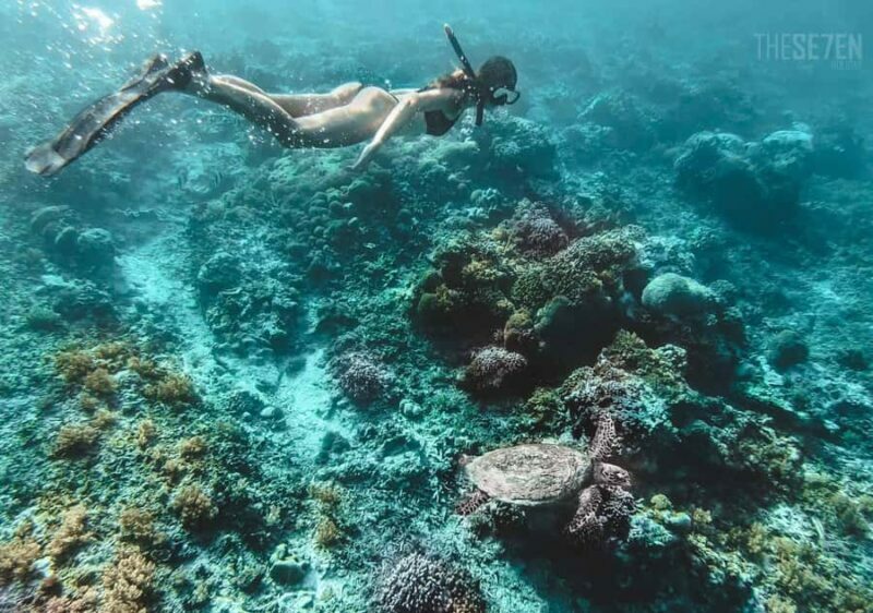 From Bali: 2-Day Gili Trawangan Escape with Hotel & Snorkel - An In-Depth Look at the Tour Experience