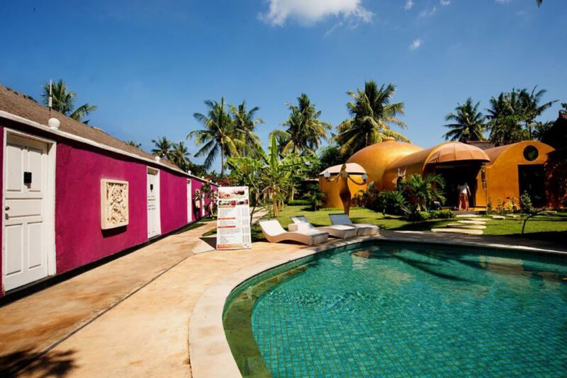 From Bali: 2-Day Private Gili Island Snorkel Tour With Hotel - Key Points