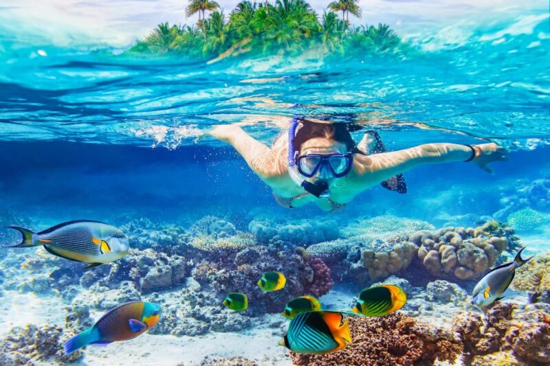 From Bali: 3 Snorkeling Spots Tour to Lembongan and Penida - Key Points