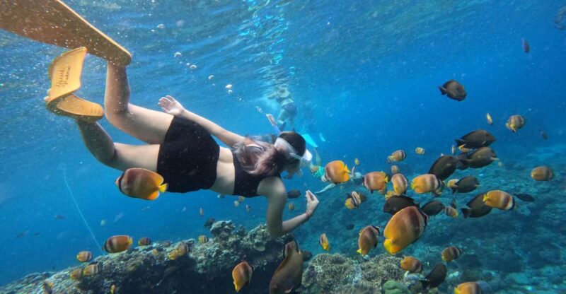 From Bali: 3 Snorkeling Spots Tour to Lembongan and Penida - Included in the Tour