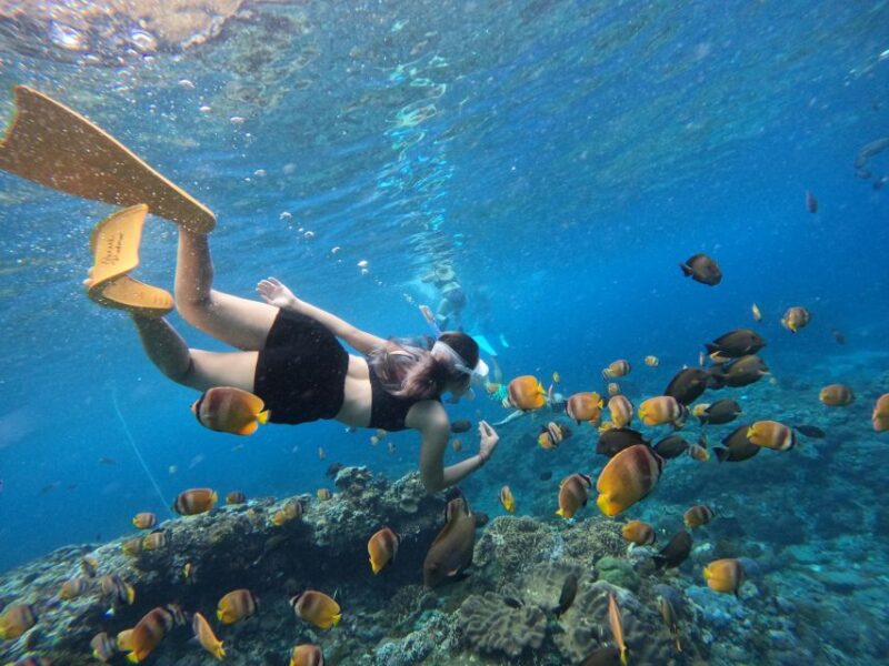 From Bali: 3 Snorkeling Spots Tour to Lembongan and Penida - Snorkeling Locations and Activities