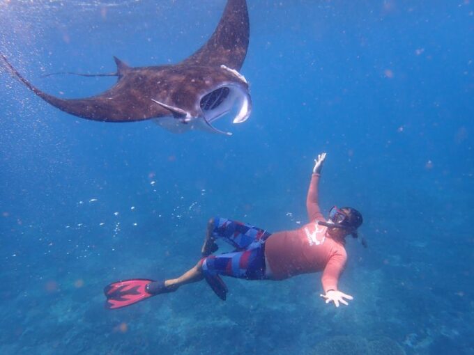 From Bali: 3 Snorkeling Spots Tour to Lembongan and Penida - Onboard Amenities and Services