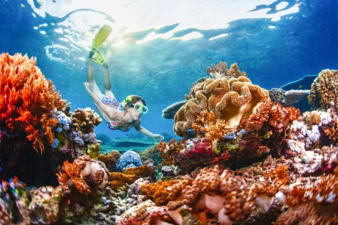 From Bali: 3 Snorkeling Spots Tour to Lembongan and Penida - Customer Reviews and Ratings