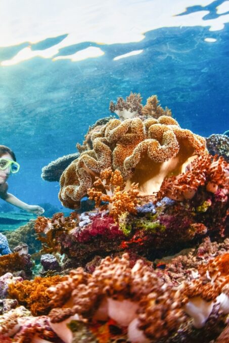 From Bali: 3 Snorkeling Spots Tour to Lembongan and Penida - Frequently Asked Questions