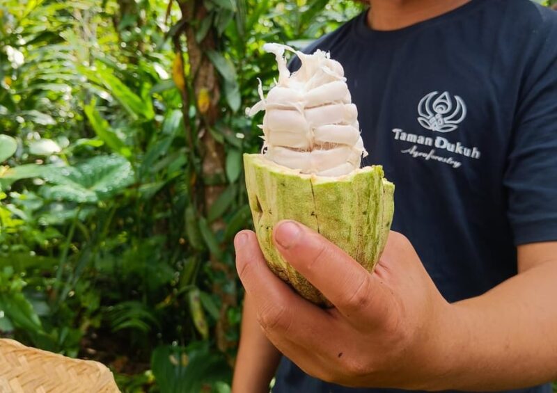 From Bali: Balinese Cooking Class at Ubud Organic Farm - Key Points