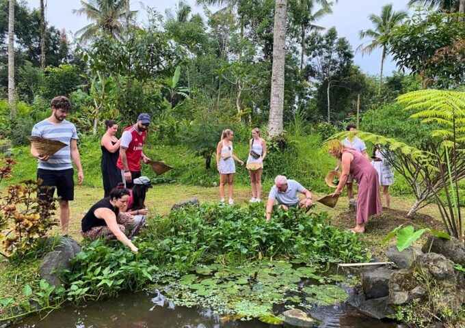 From Bali: Balinese Cooking Class at Ubud Organic Farm - Daily Life and Fruits