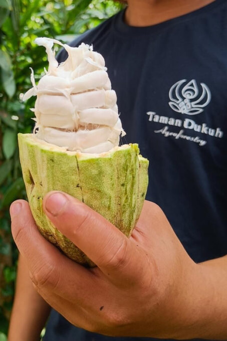 From Bali: Balinese Cooking Class at Ubud Organic Farm - Included Amenities