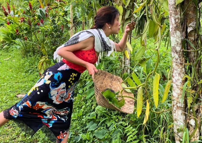From Bali: Balinese Cooking Class at Ubud Organic Farm - Frequently Asked Questions