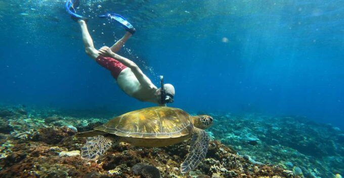 From Bali: Explore West Nusa Penida With Snorkeling - Speedboat Transfer