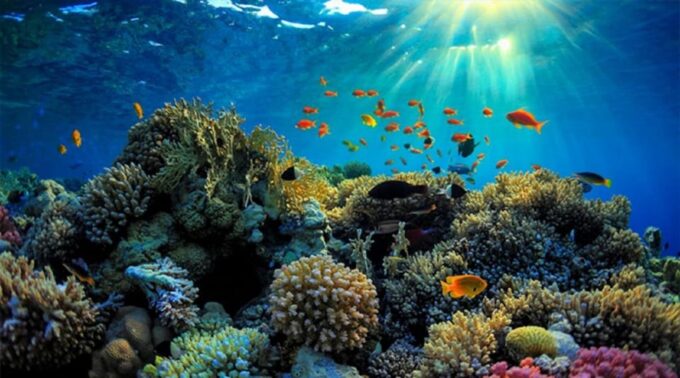 From Bali: Explore West Nusa Penida With Snorkeling - Scenic Attractions