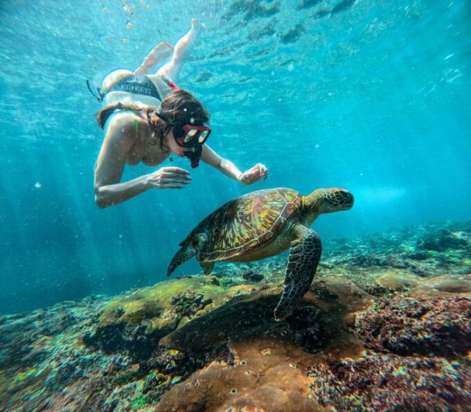 From Bali: Explore West Nusa Penida With Snorkeling - Frequently Asked Questions