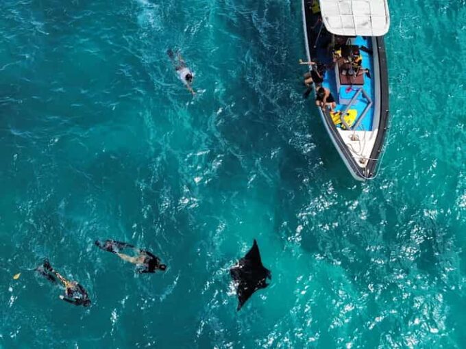 From Bali: Full Day Private Snorkeling Tour Nusa Penida - Additional Information