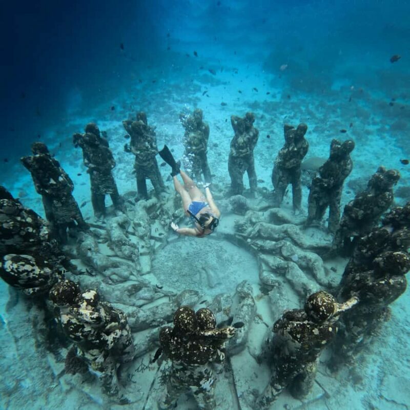 From Bali: Gili Islands Private Snorkeling Day Trip - An In-Depth Look at the Tour Experience