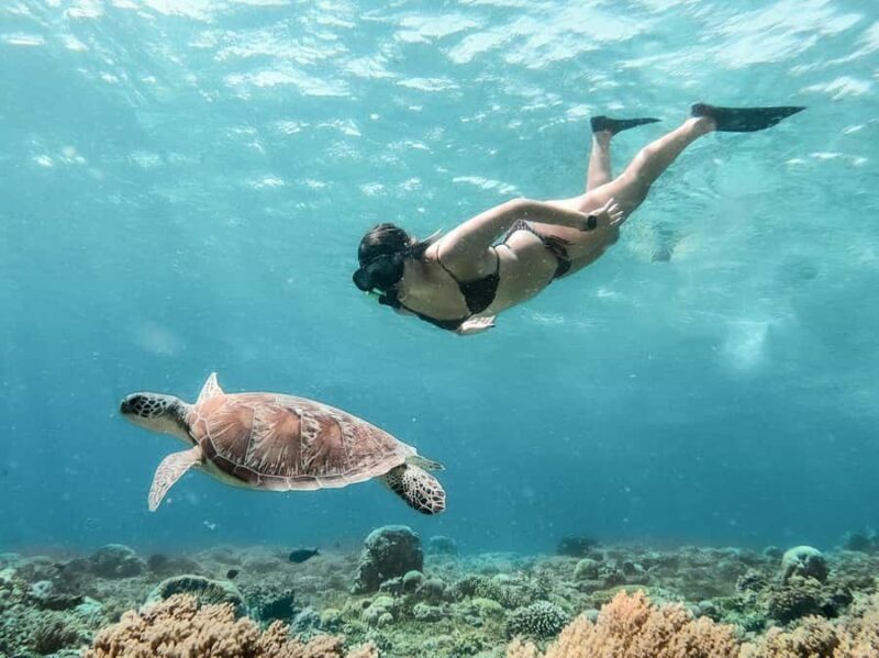 From Bali: Gili Islands Private Snorkeling Day Trip - Final Thoughts: Is It Worth It?