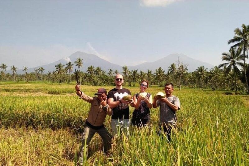 From Bali : Kawah Ijen Mt.Bromo With Local Experiences - Itinerary Highlights