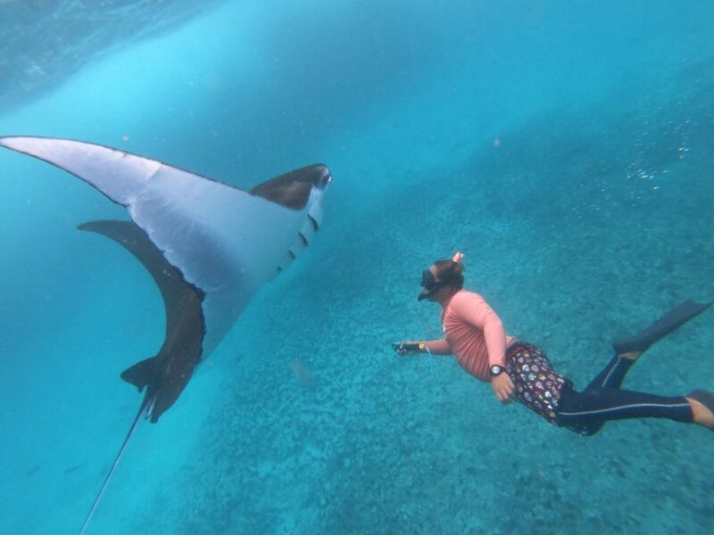 From Bali: Lembongan & Penida 2-Day Tour With Snorkeling - Key Points