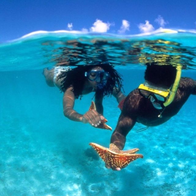 From Bali: Manta Point Snorkeling & West Nusa Penida - Key Points