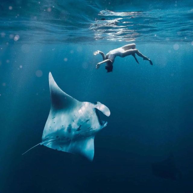 From Bali: Manta Point Snorkeling & West Nusa Penida - Itinerary Details