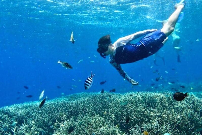 From Bali: Manta Rays Snorkeling & Nusa Lembongan Tour - Itinerary Highlights