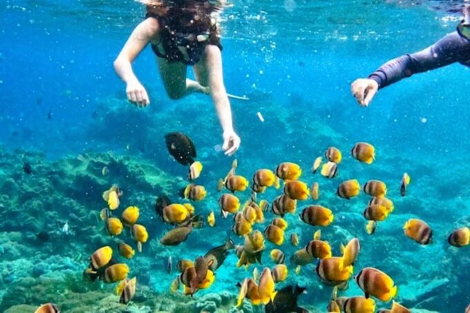From Bali: Manta Rays Snorkeling & Nusa Lembongan Tour - Exploring Nusa Lembongan
