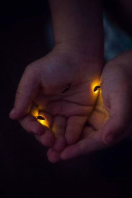 From Bali: Night Fireflies Tour in Rural Life With Dinner - Balinese Traditions and Customs