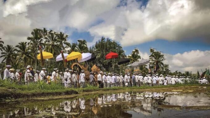 From Bali: Night Fireflies Tour in Rural Life With Dinner - Evening Fireflies Viewing