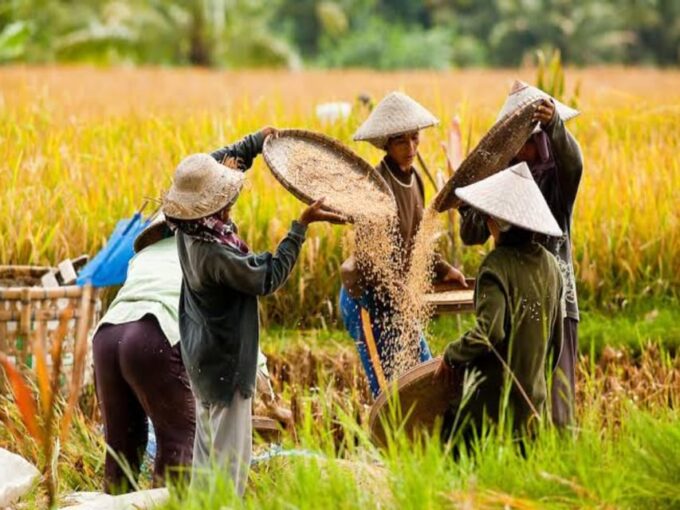 From Bali: Night Fireflies Tour in Rural Life With Dinner - Traditional Balinese Dinner