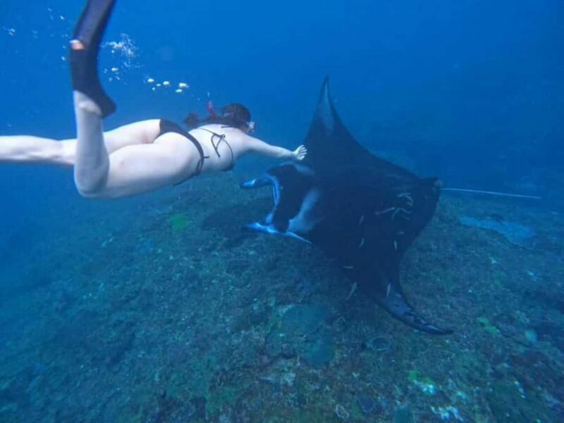 From Bali: Nusa Penida 3 Spots Snorkeling Tour & West Island - Key Points
