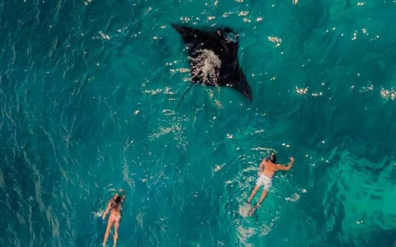 From Bali: Nusa Penida 3 Spots Snorkeling Tour & West Island - The Highlights and Why They Matter